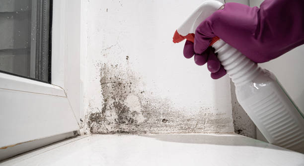 Trusted Brooklyn, WI Water damage restoration Experts